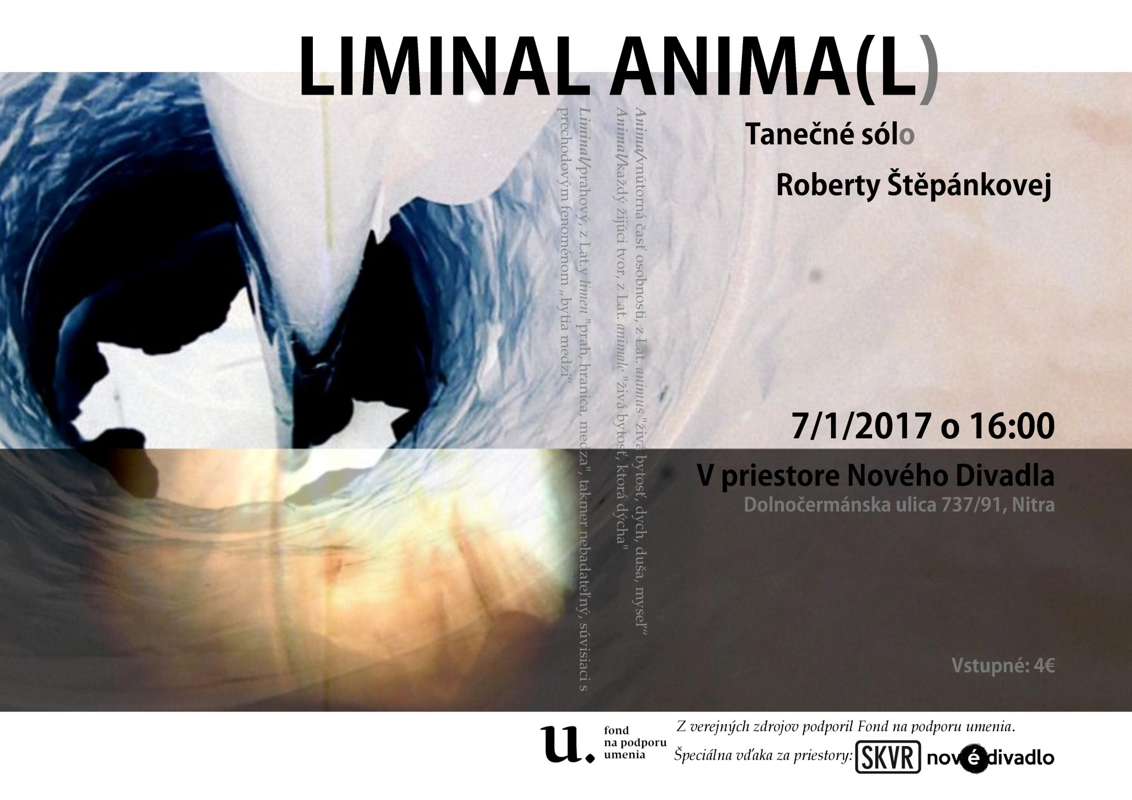 Liminal Animal Tanecne Solo-page-001